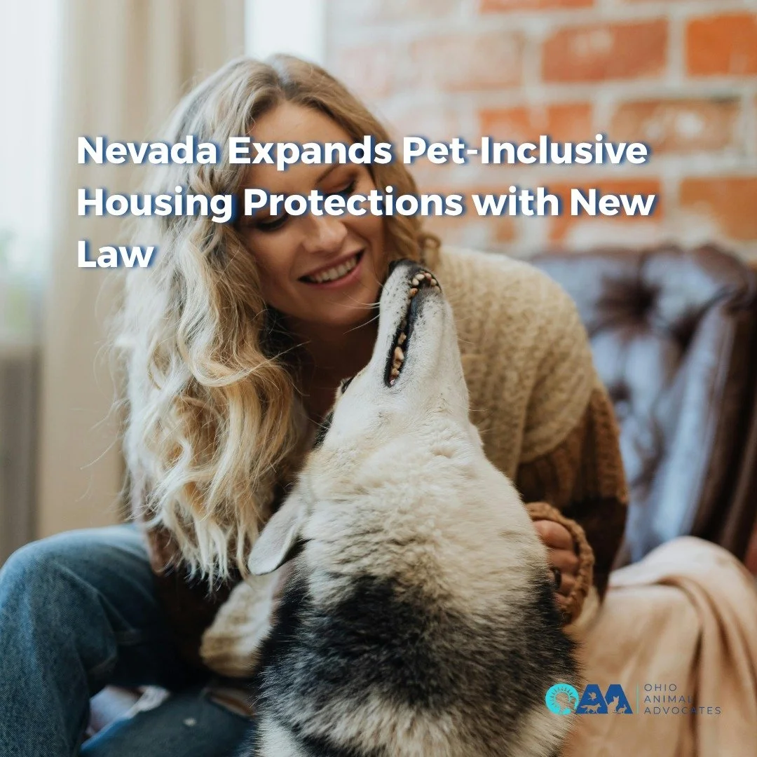 Nevada just made history for families with pets! 🏠🐕
A new law now protects renters from breed-based restrictions and ensures pets are allowed in supportive housing programs.

This is a huge step toward keeping pets and people together&mdash;and a m