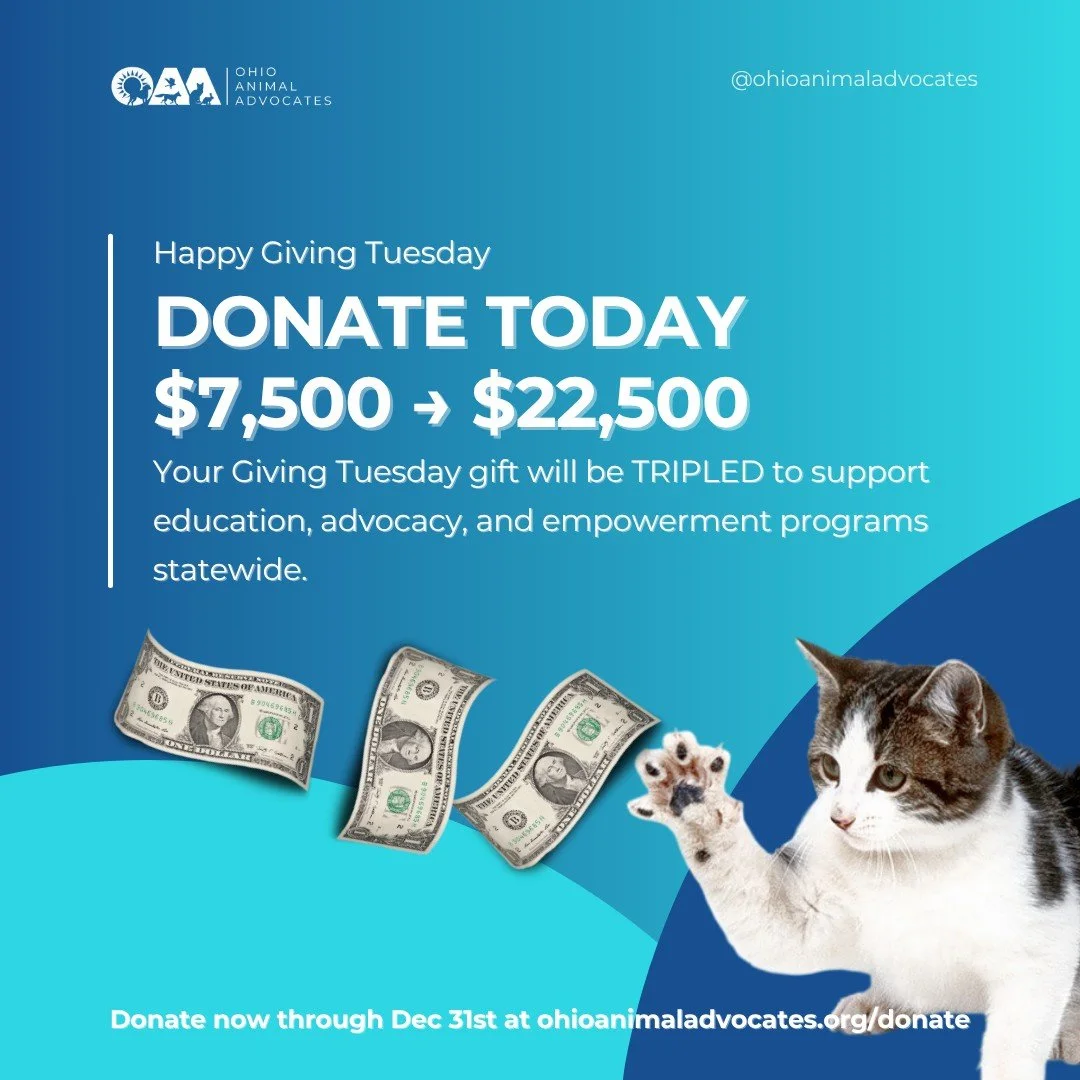 🐾 It&rsquo;s Giving Tuesday! Today thru December 31st, your gift is TRIPLED to protect animals across Ohio. 

Make 3&times; the impact: ohionanimaladvocates.org/donate