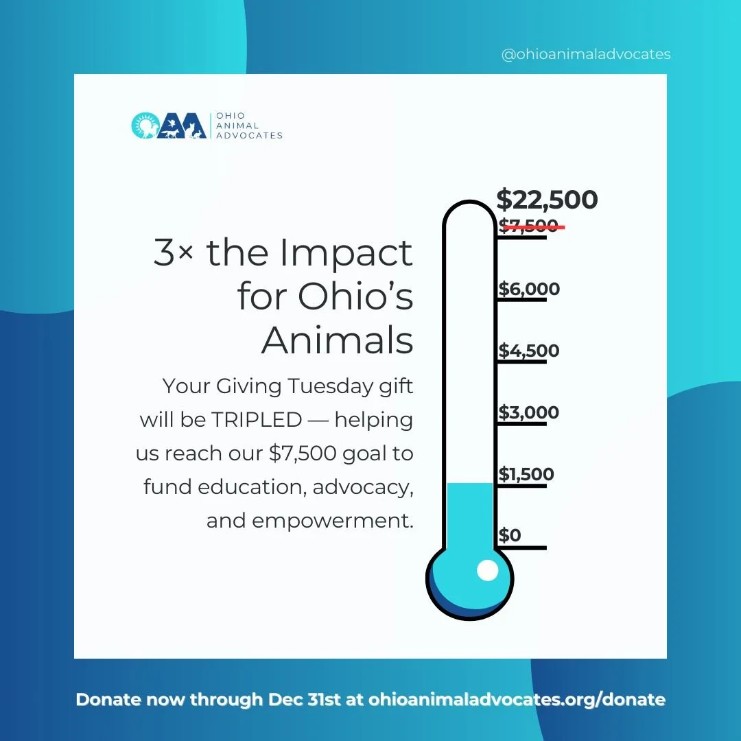 We&rsquo;re on our way! 🐾💙

We&rsquo;ve hit $1,522 but we need to reach $7,500 by Dec 31st to unlock our TRIPLE match! That&rsquo;s 3&times; the impact for animals who need safety, advocacy, and care.

Every dollar you give becomes three. Let&rsquo