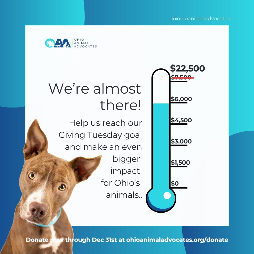 We&rsquo;re so close! 💙 Thank you for donation. Your support helps us cross the finish line and support even more animals across Ohio. Every dollar makes a difference. 🐾

Give now at ohioanimaladvocates.org/donate