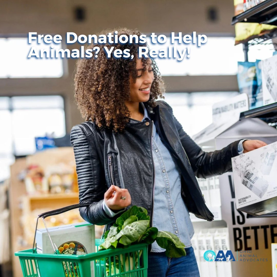 💙 Donate for FREE While You Shop

Your grocery run can help animals across Ohio! Join Kroger Community Rewards&reg; and choose Ohio Animal Advocates (TM007) &mdash; Kroger donates every time you use your Plus Card.

No fees, no extra cost, just impa