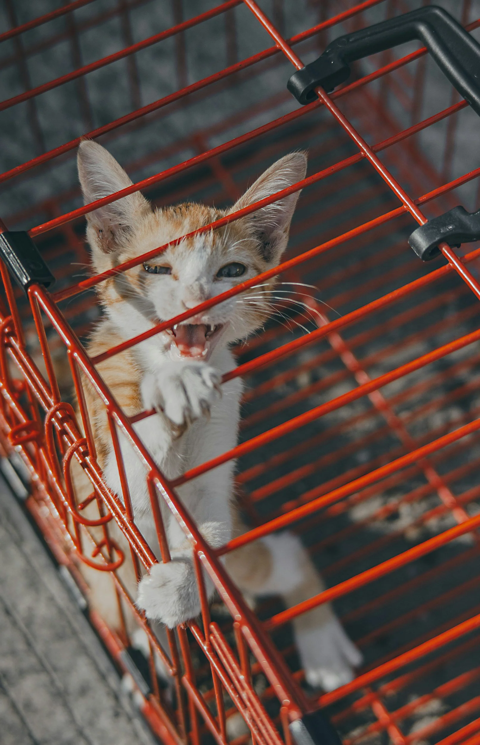 unsplash-image-2j7FHCWacZw.jpg