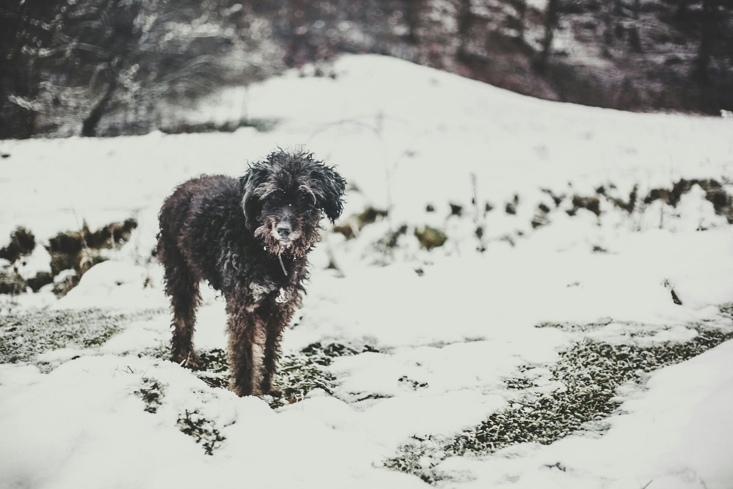 unsplash-image-wXFEVyTzt4Y.jpg