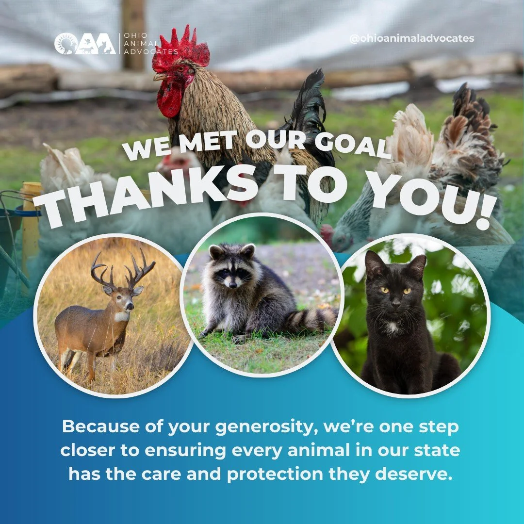 Because of you, animals across Ohio are closer to the care and protection they deserve. Thank you for your support and donation!