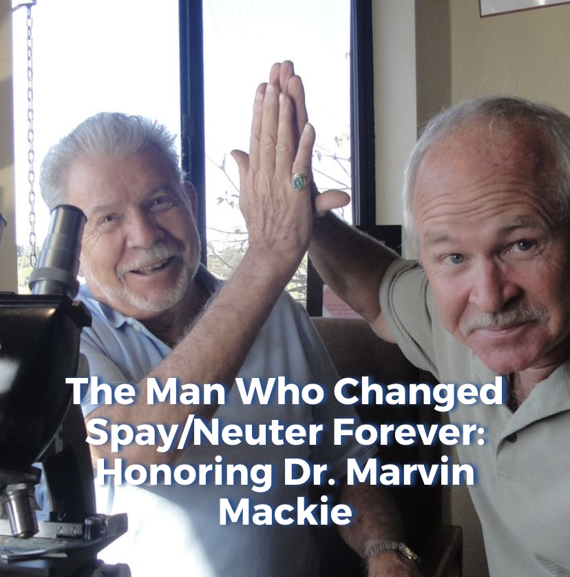 The Man Who Changed Spay/Neuter Forever: Honoring Dr. Marvin Mackie