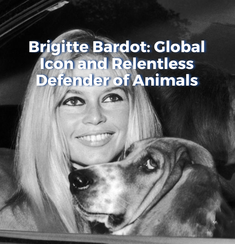 Screenshot 2026-01-07 at 3.28.05 PM.png