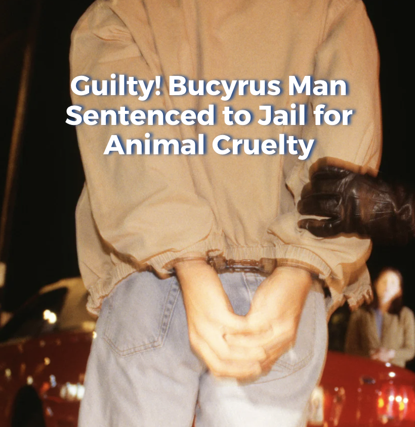 Screenshot 2026-01-07 at 3.46.47 PM.png