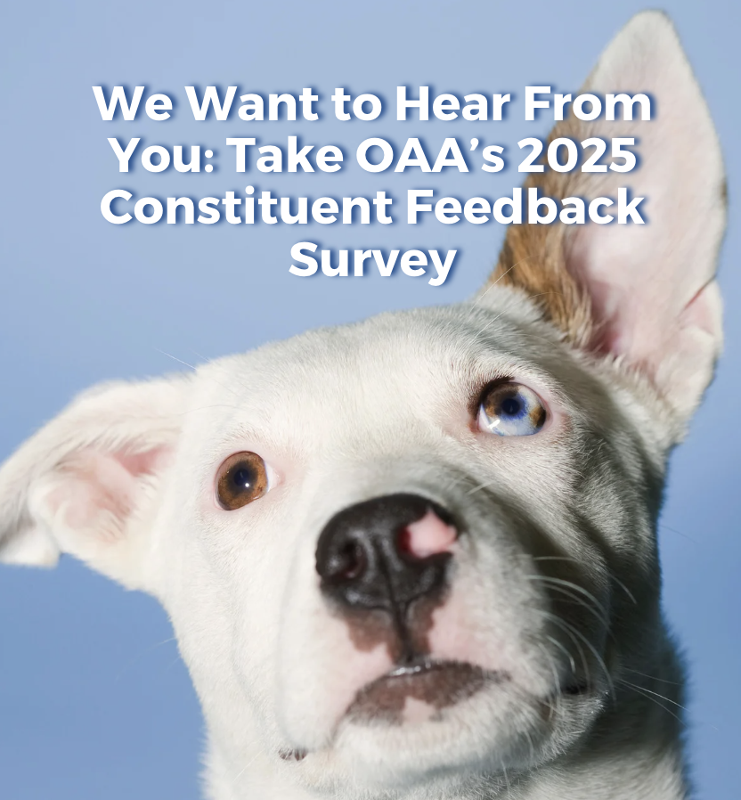 Screenshot 2026-01-07 at 3.56.04 PM.png