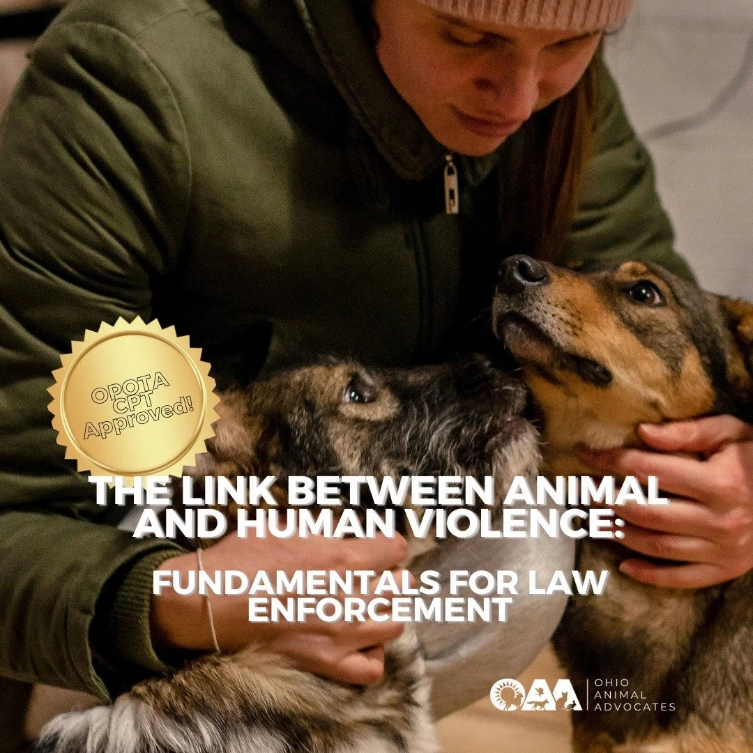 Join us January 21 in Springfield, OH for a FREE, OPOTA CPT&ndash;approved training on the link between animal abuse and human violence.

REGISTER AT https://www.ohioanimaladvocates.org/events/the-link-between-animal-and-human-violence-fundamentals-f