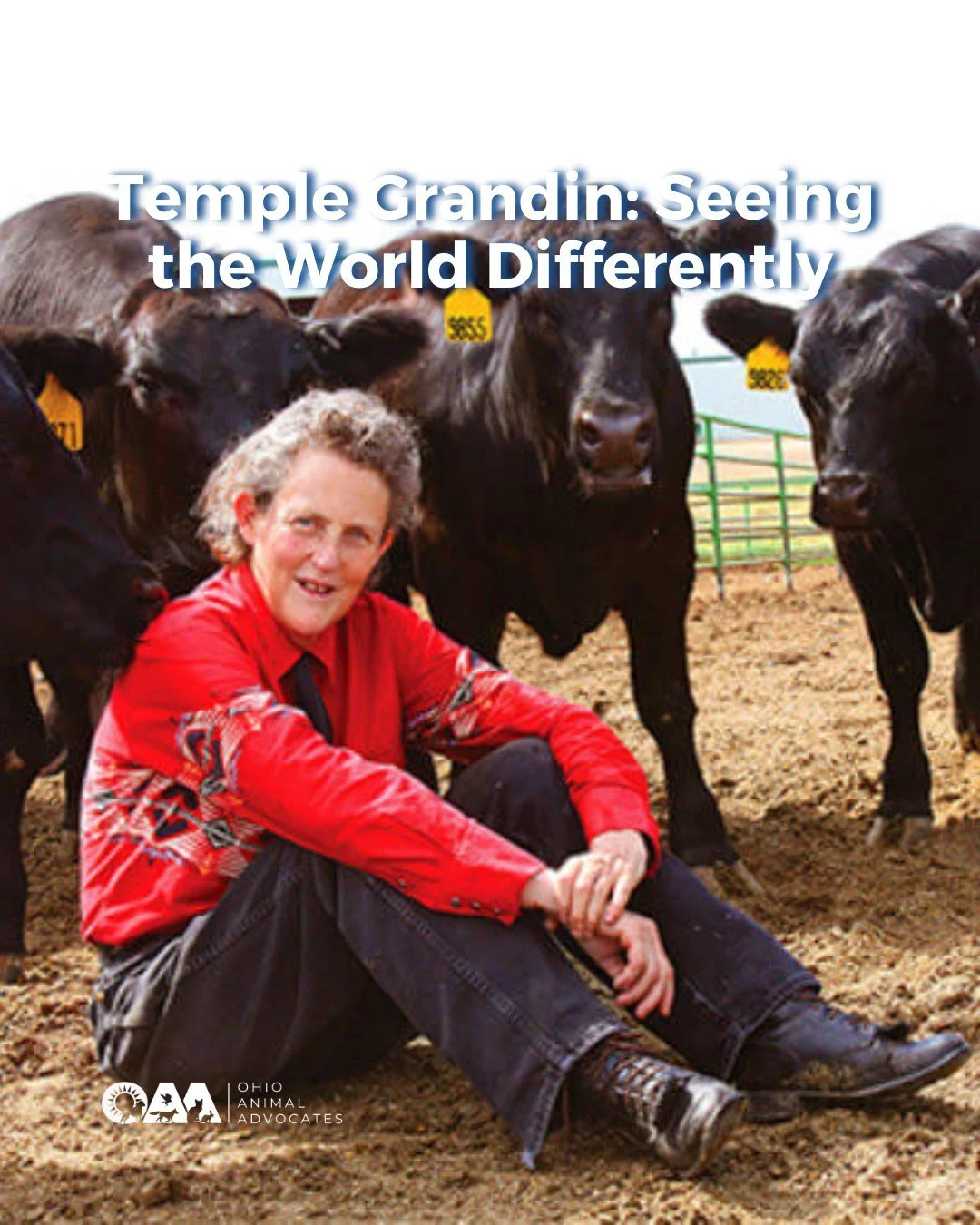 Difference is not a deficit. Temple Grandin&rsquo;s unique way of seeing the world reshaped animal welfare&mdash;and continues to challenge how we value different thinkers.

Read the rest of her story at https://www.ohioanimaladvocates.org/news/templ
