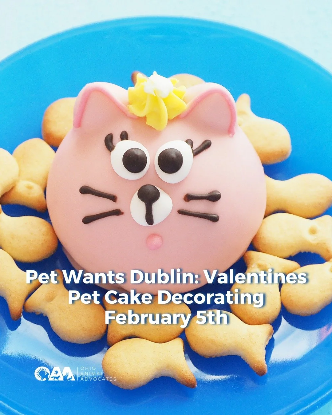 TOMORROW! Join Pet Wants Dublin and PetCakes for a Valentines Pet Cake Decorating Event🎂

When: February 5th from 5:00 to 6:30 PM ET
Where: Pet Wants Dublin | 52 South High StreetDublin, OH, 43017
Register at ohioanimaladvocates.org/events
 
@petwan