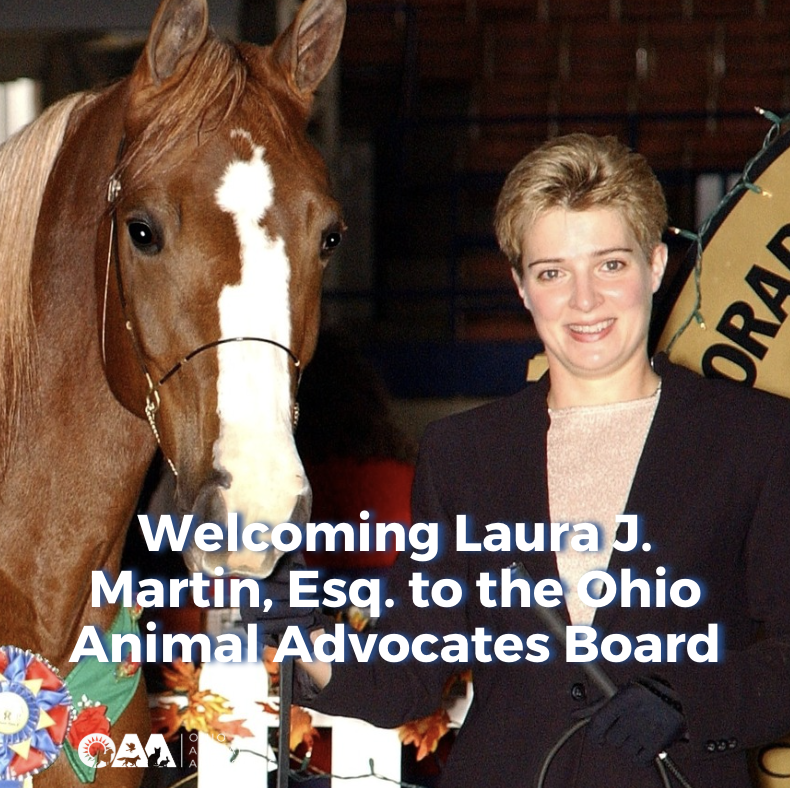 Welcoming Laura J. Martin, Esq. to the Ohio Animal Advocates Board
