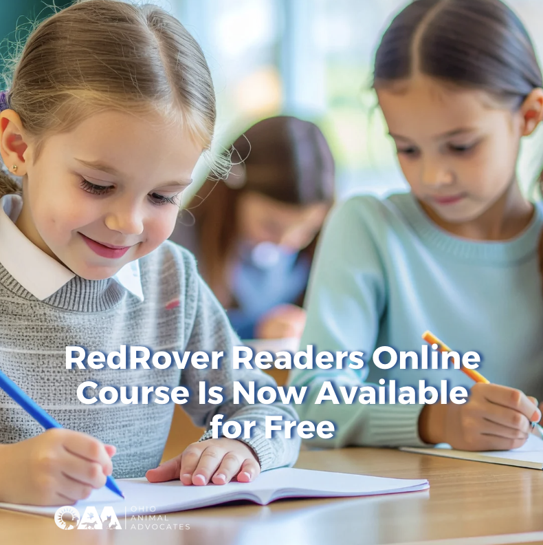 RedRover Readers Online Course Is Now Available for Free