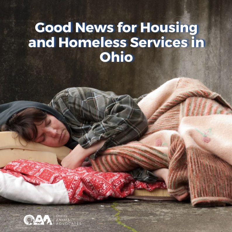 Good News for Housing and Homeless Services in Ohio