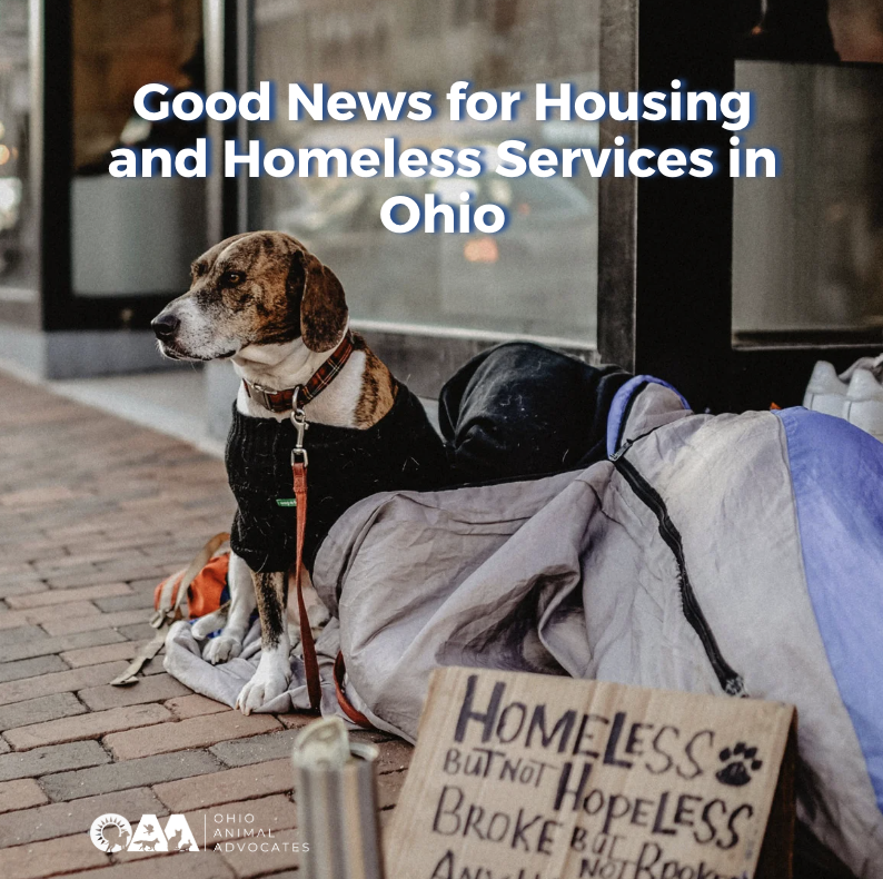 Good News for Housing and Homeless Services in Ohio