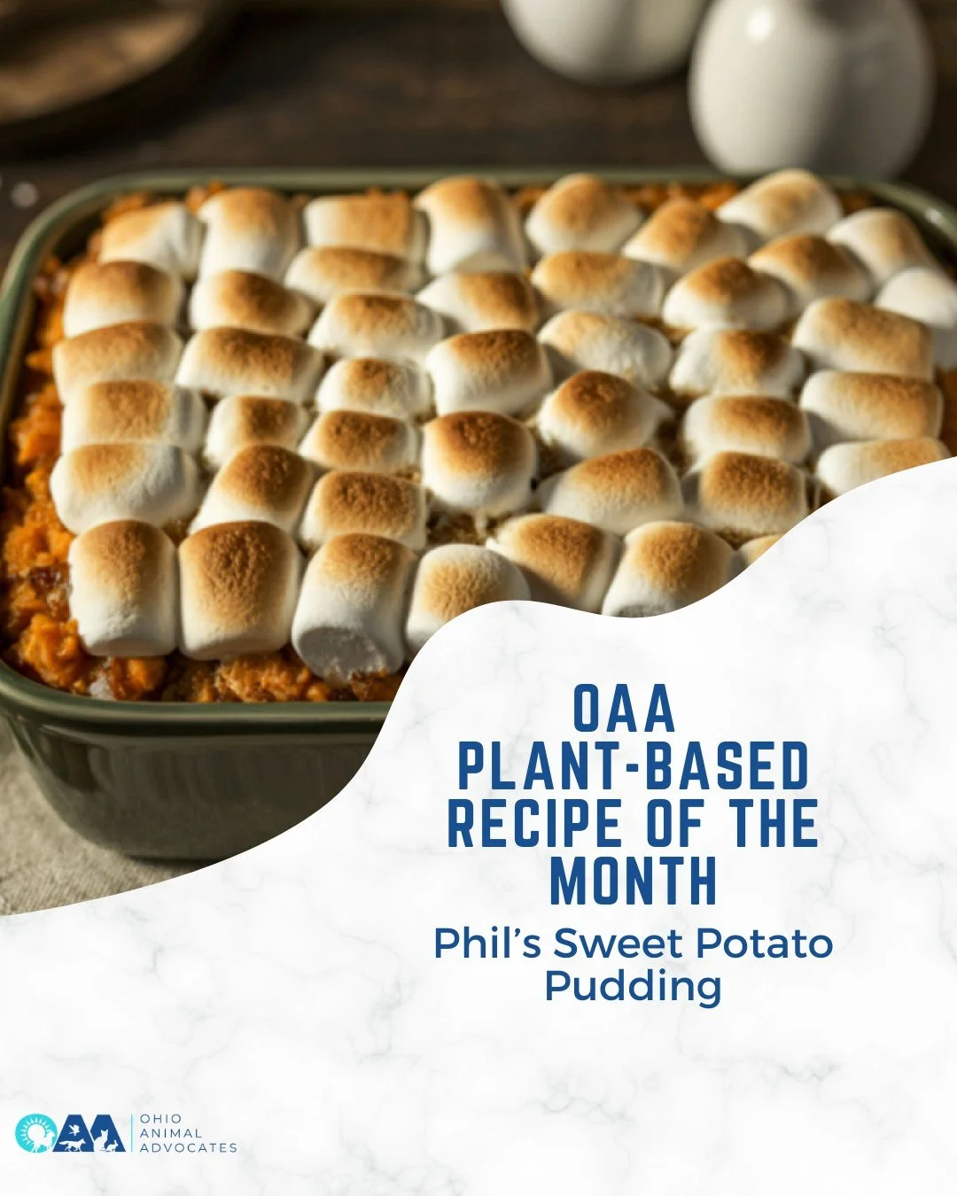 This Sweet Potato Pudding comes from Phil Arkow, coordinator of the National LINK Coalition, longtime partners and champions for both people and animals.
Simple, cozy, and rooted in compassion

Get the full recipe at ohioanimaladvocates.org/news/phil