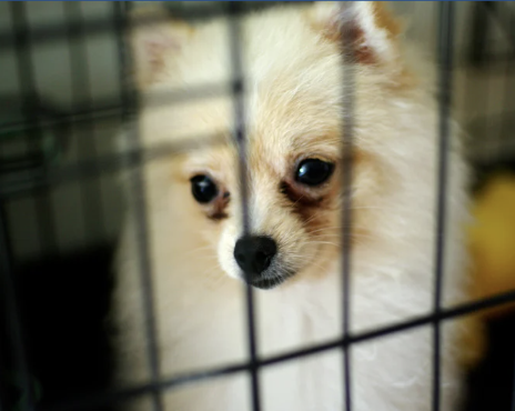 Screenshot 2026-02-12 at 1.06.13 PM.png