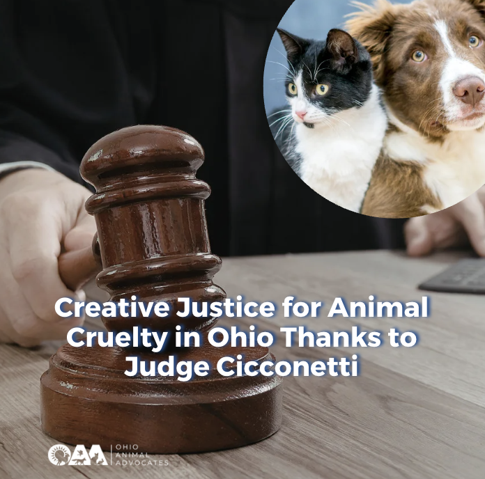 Creative Justice for Animal Cruelty in Ohio Thanks to Judge Cicconetti