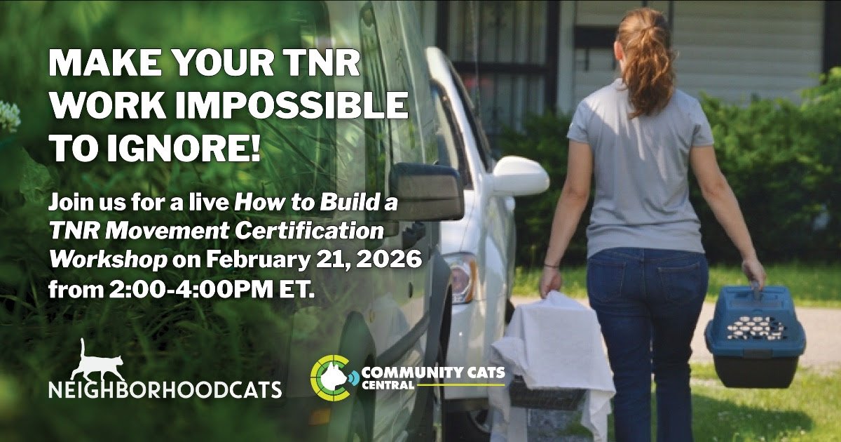 How to Build a TNR Movement Certification Workshop
