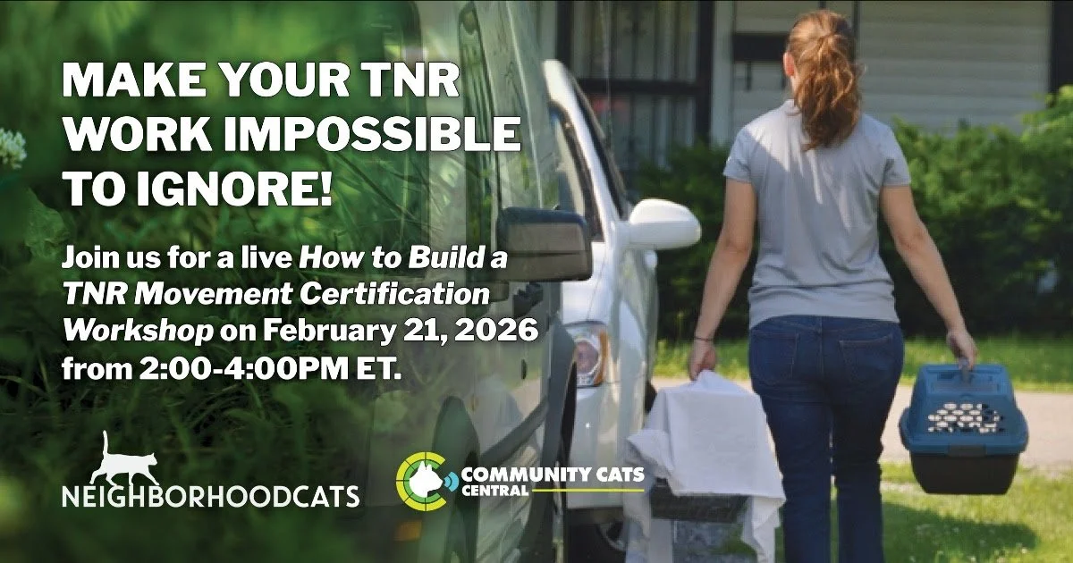 How to Build a TNR Movement Certification Workshop with Community Cats ...