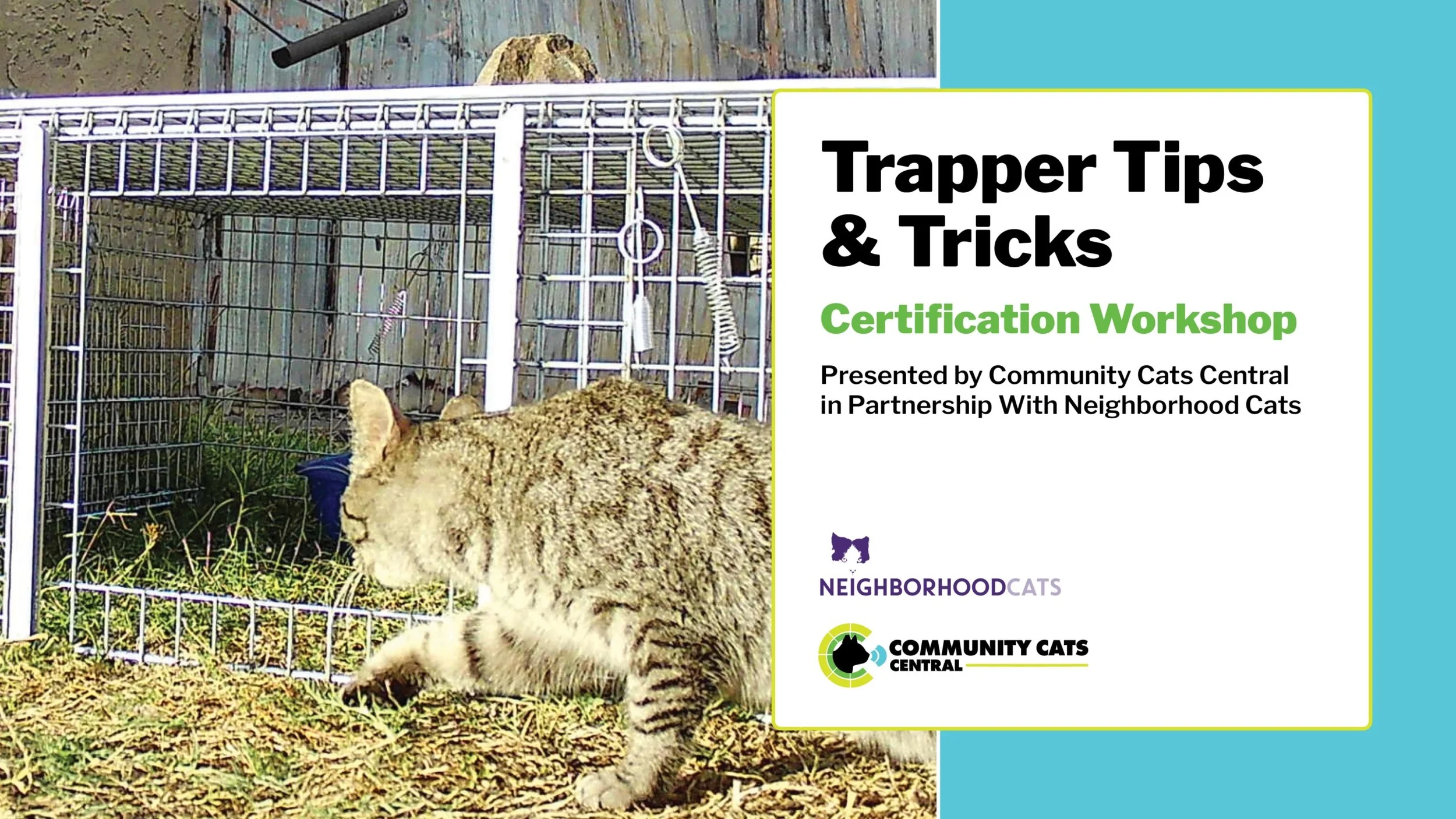Trappers' Tips & Tricks