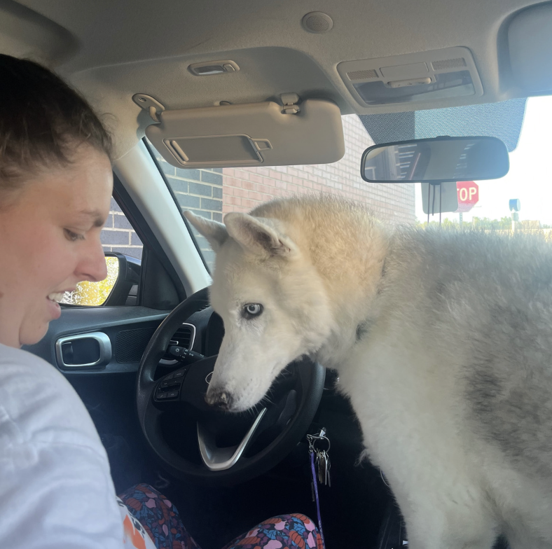 Screenshot 2026-02-19 at 10.22.20 AM.png