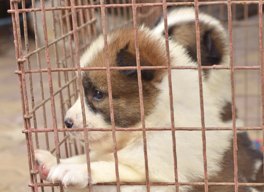 Screenshot 2026-02-19 at 12.23.13 PM.png