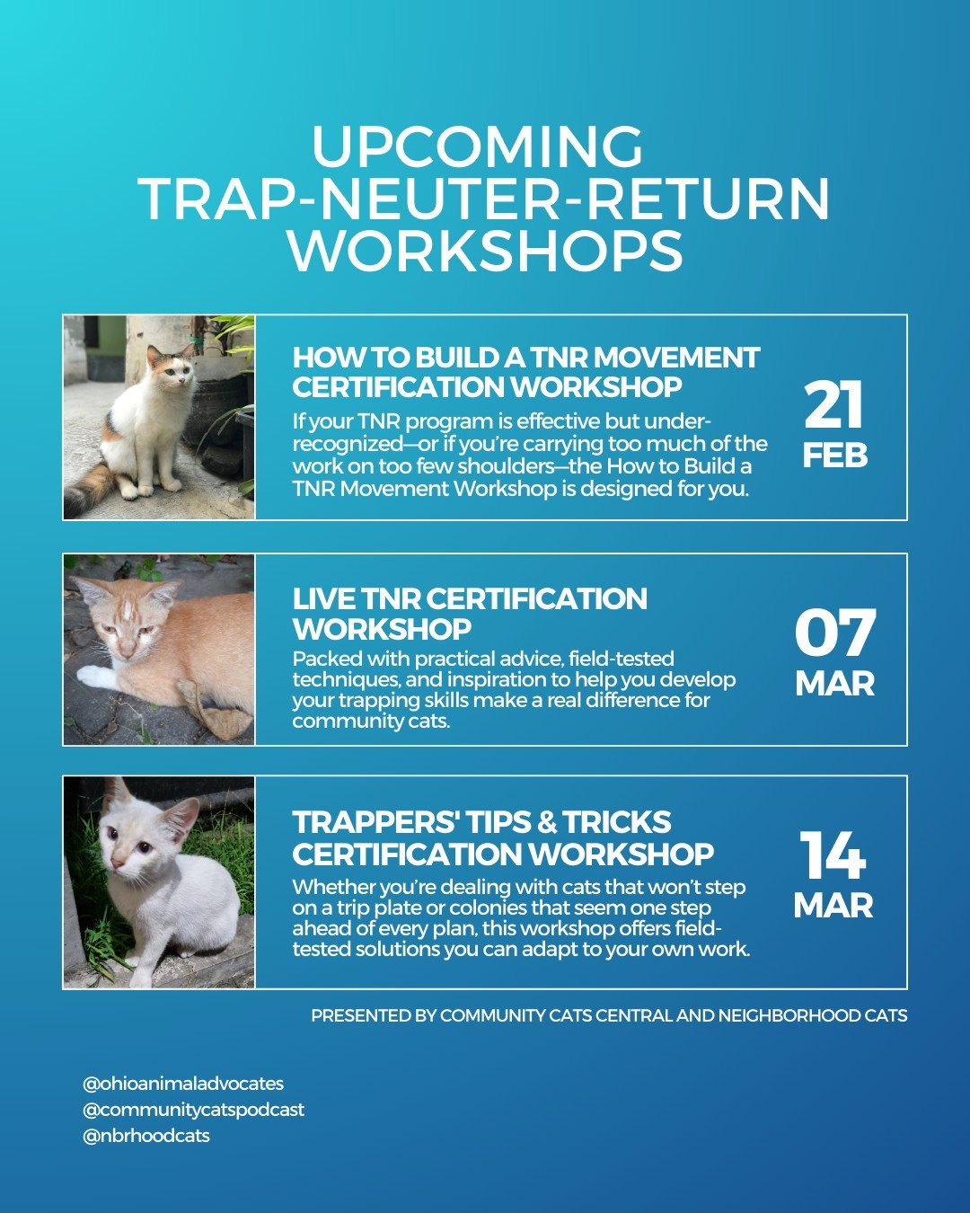 TNR saves lives! We&rsquo;re excited to share upcoming Trap-Neuter-Return Certification Workshops designed to strengthen and grow your impact. Presented by Neighborhood Cats and Community Cats Central

Whether you&rsquo;re:
✔ Building a TNR movement 