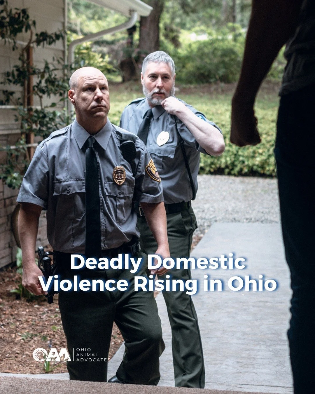 Deadly domestic violence is rising in Ohio and the warning signs often appear long before tragedy strikes.

👉 Read more + get involved at ohioanimaladvocates.org/news/deadly-domestic-violence-rising-in-ohio