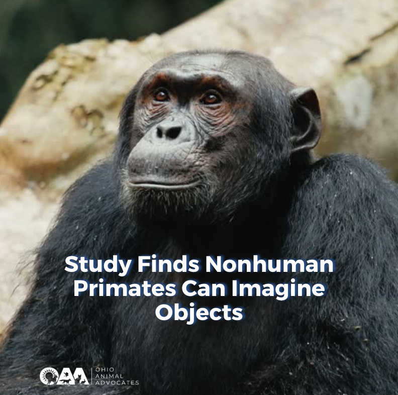 Screenshot 2026-02-25 at 11.06.34 AM.png