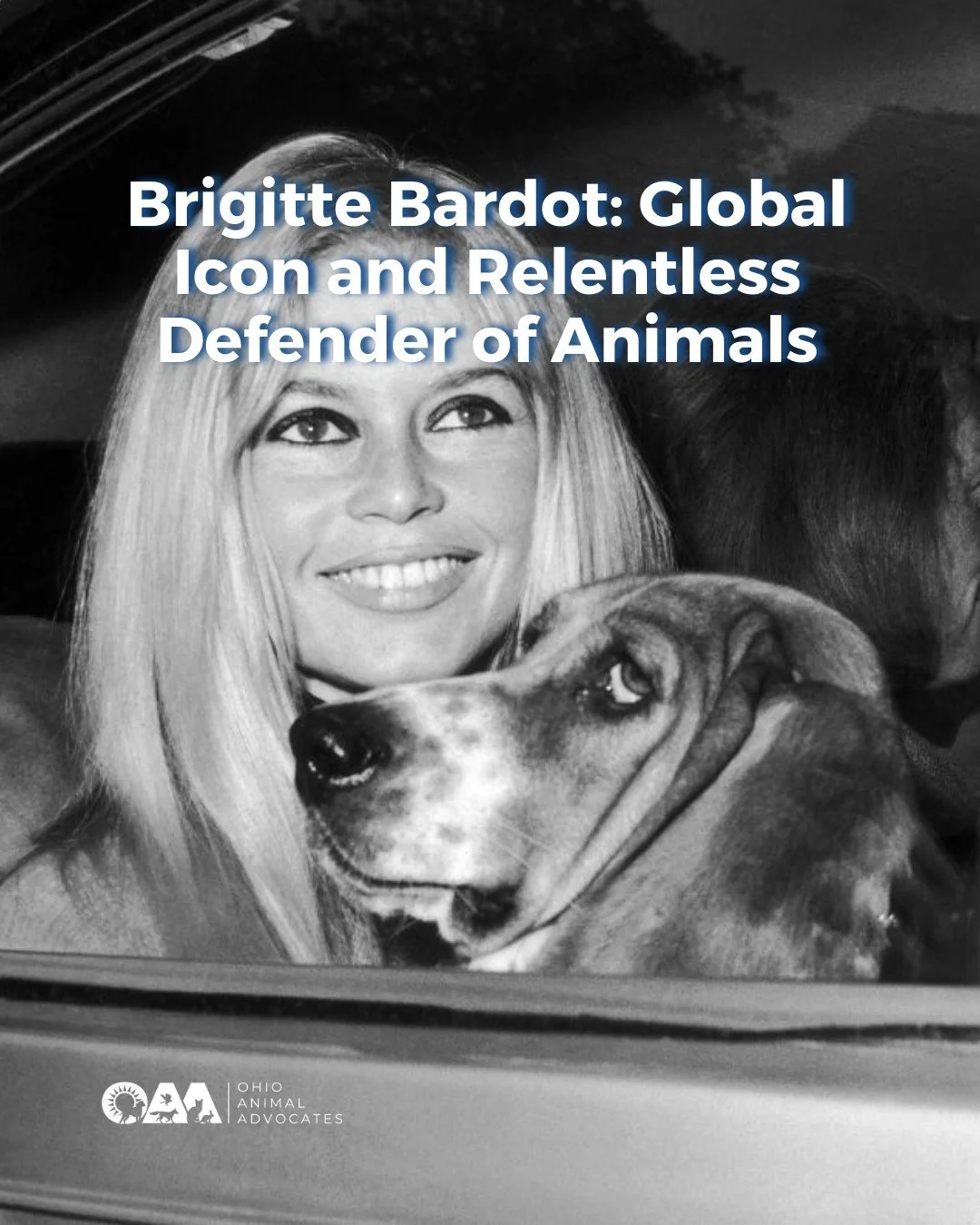Remembering Brigitte Bardot! She stepped away from fame and spent decades fighting for animals. Honor her legacy by using your voice for animals today. 🐾

Read more about her advocacy for animals at https://www.ohioanimaladvocates.org/news/brigitte-