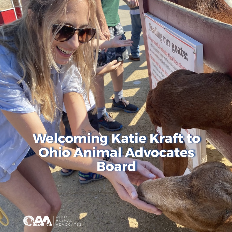 Welcoming Katie Kraft of Ohio Animal Advocates Boar