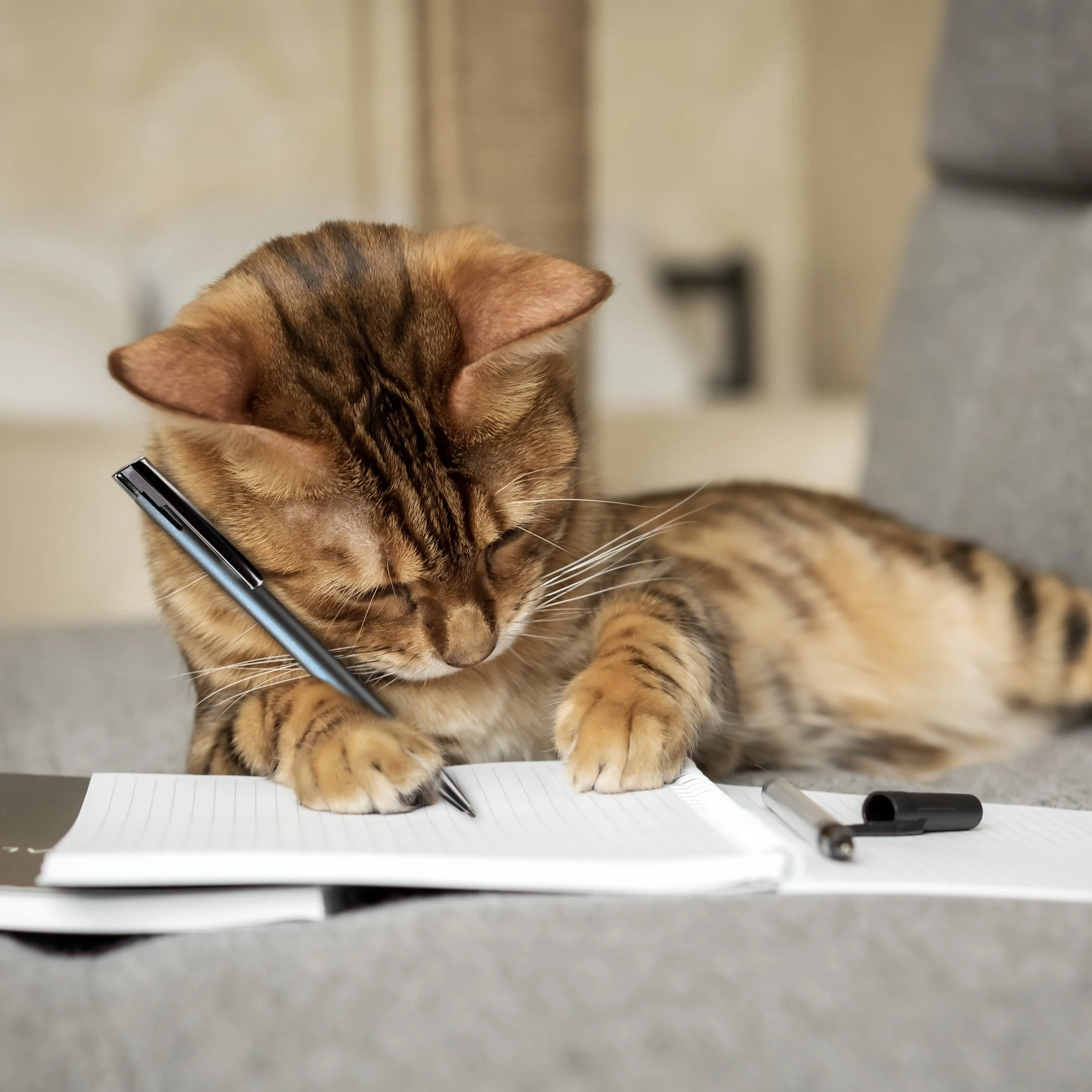 Cat Planning Writing 2.jpg