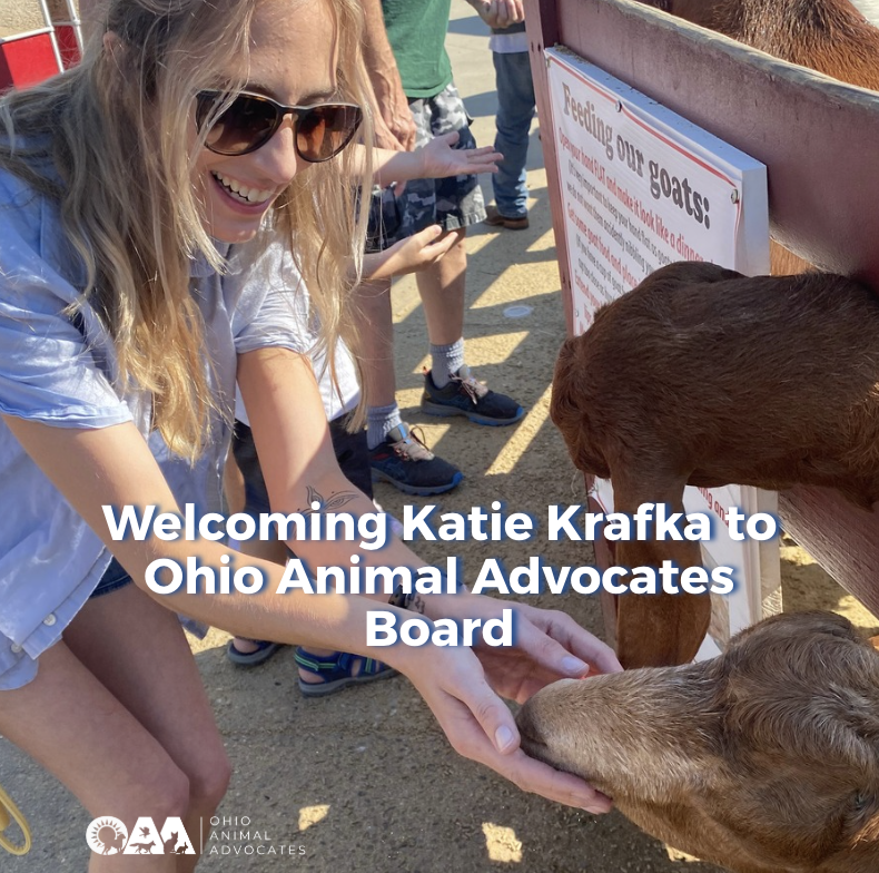 Screenshot 2026-03-02 at 9.40.41 AM.png