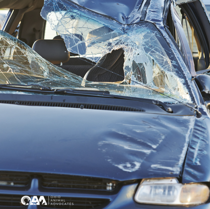 Screenshot 2026-03-04 at 10.02.35 AM.png