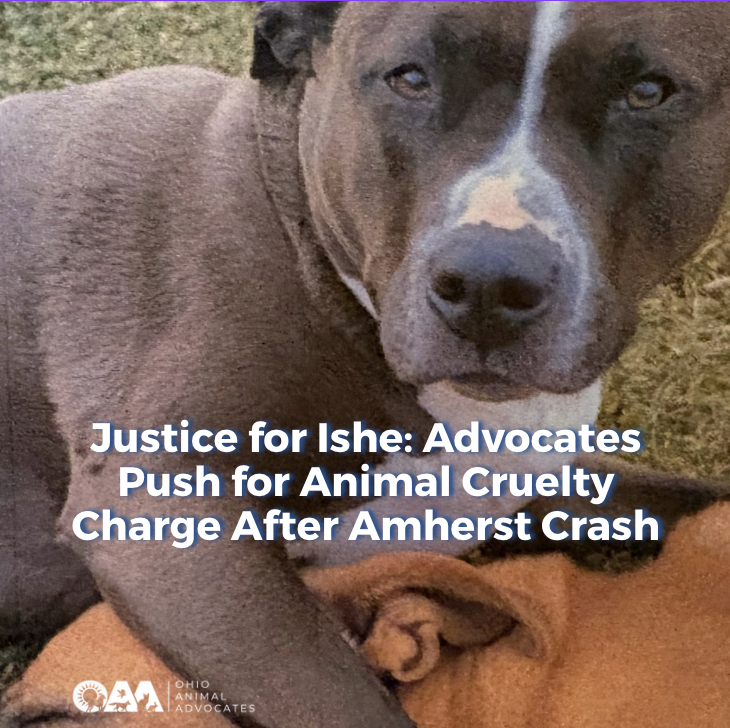 Screenshot 2026-03-04 at 10.06.58 AM.png