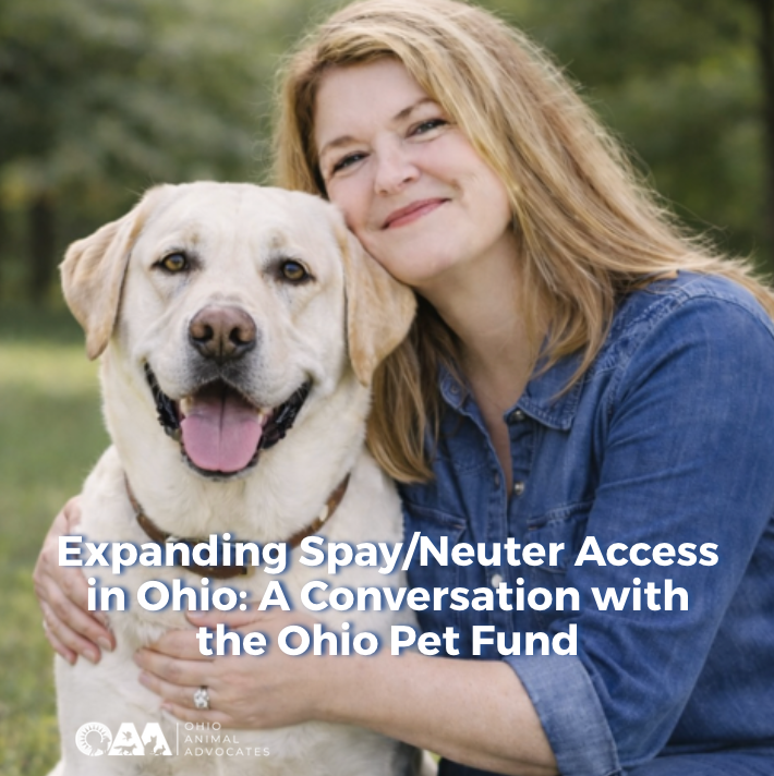 Expanding Spay/Neuter Access in Ohio: A Conversation with the Ohio Pet Fund