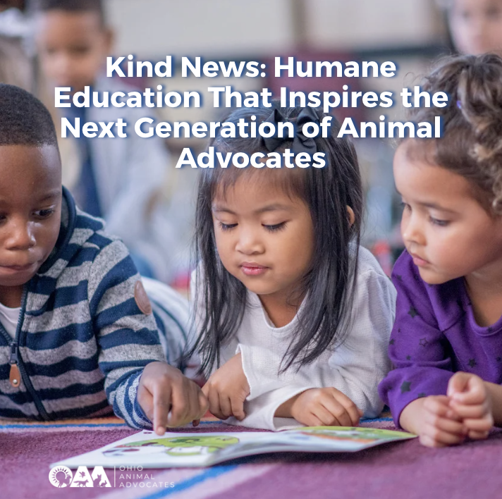 Screenshot 2026-03-04 at 11.22.27 AM.png