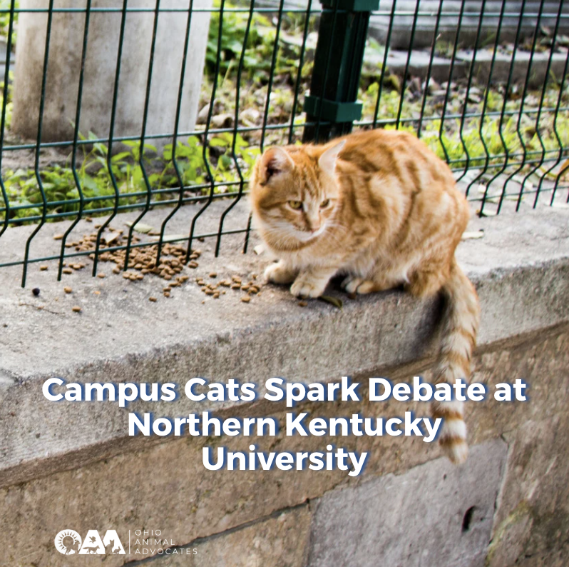 Screenshot 2026-03-04 at 11.42.22 AM.png