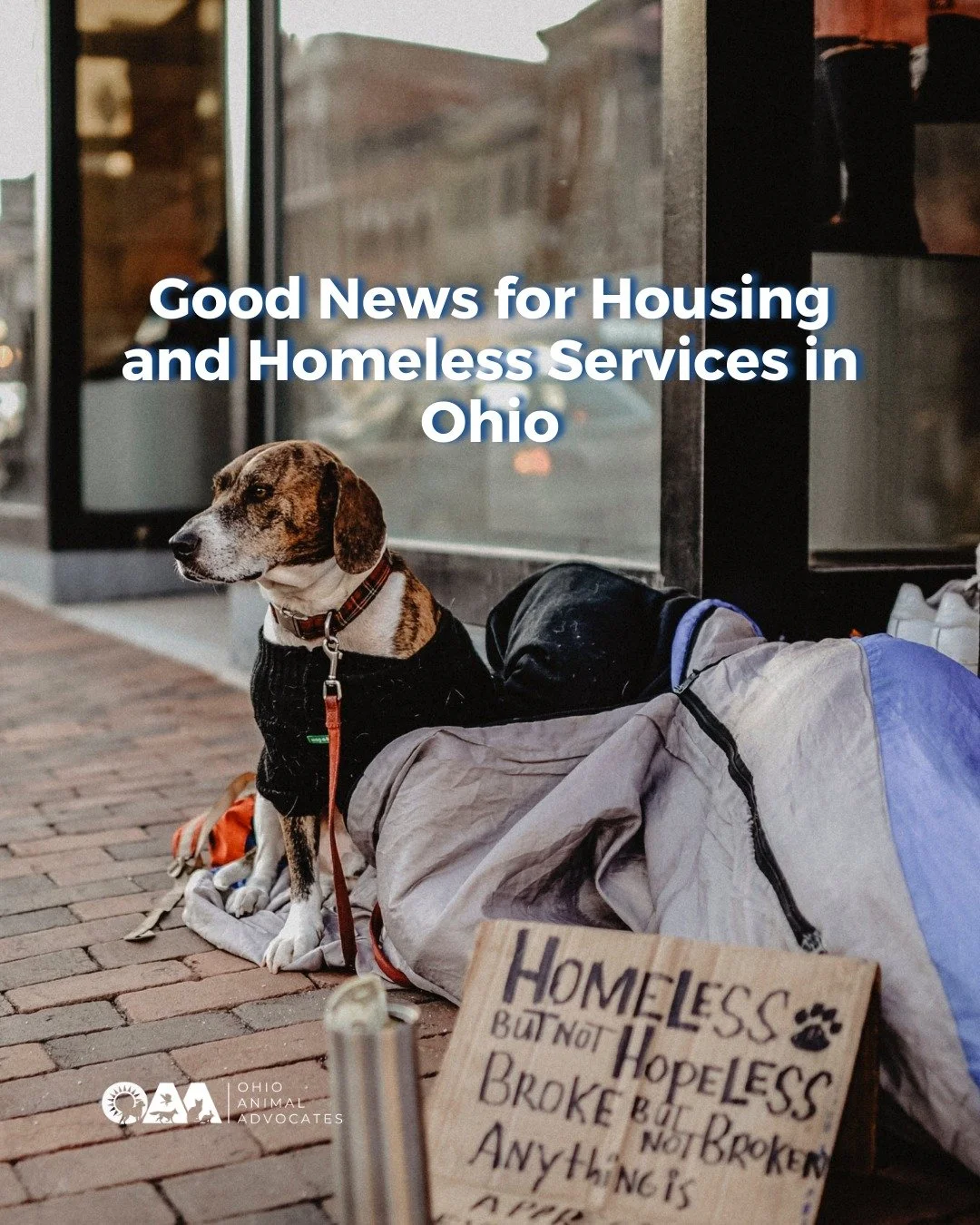 Big news for housing stability in Ohio! Congress approved $77.3 billion in HUD funding for FY 2026, protecting critical homelessness services and reversing proposed cuts. 

Learn how this impacts housing programs in Ohio at ohioanimaladvocates.org/ne