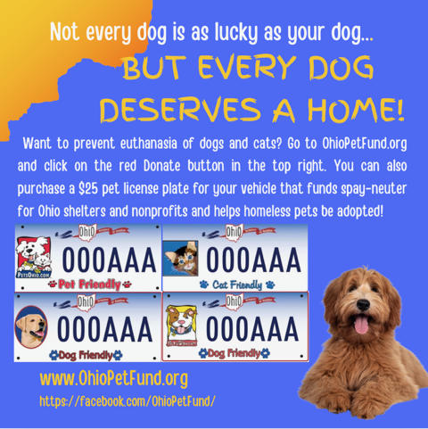 Image 2-10-26 at 9.06 PM.png