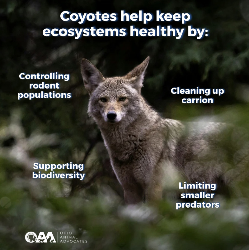 Screenshot 2026-03-12 at 11.52.02 AM.png