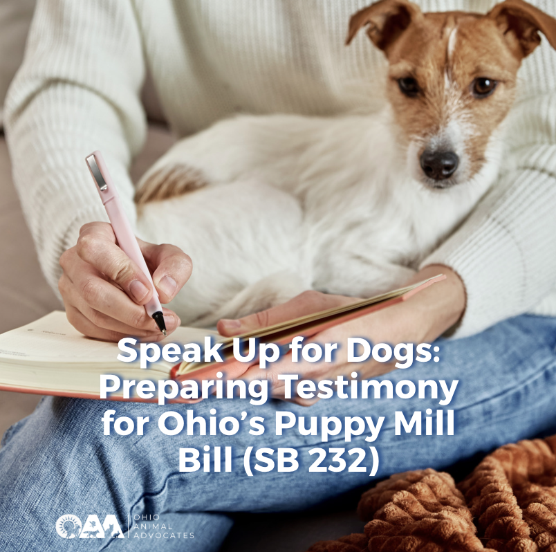 Speak Up for Dogs: Preparing Testimony for Ohio’s Puppy Mill Bill (SB 232)