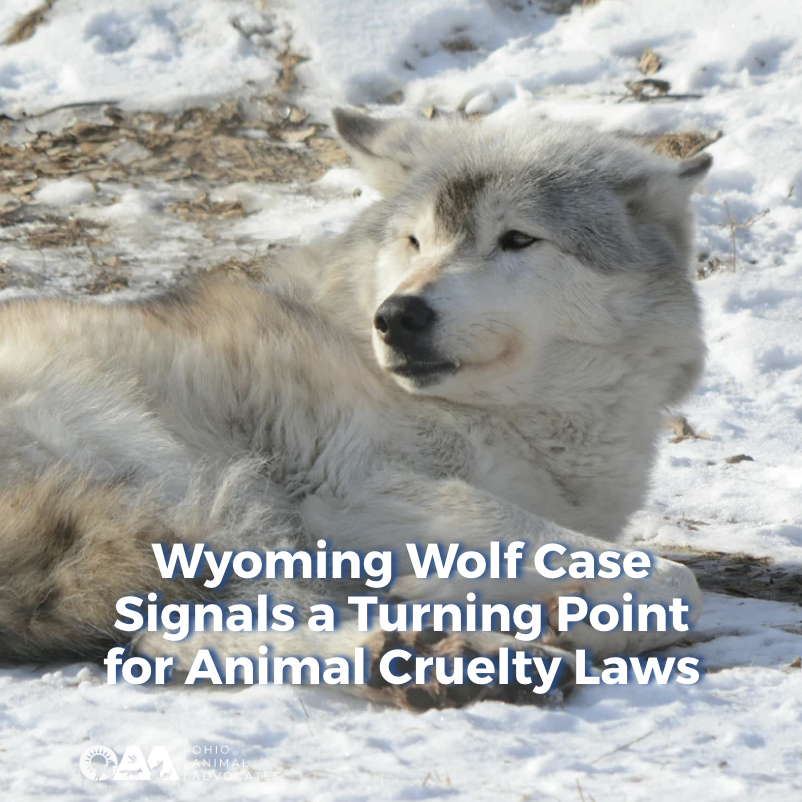 Screenshot 2026-03-19 at 11.15.19 AM.png