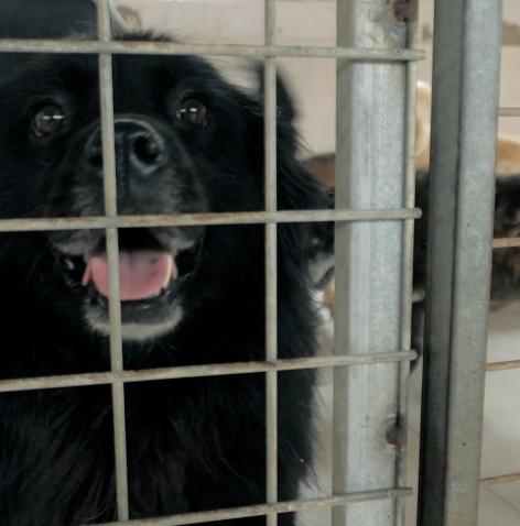 Screenshot 2026-03-20 at 1.35.22 PM.png