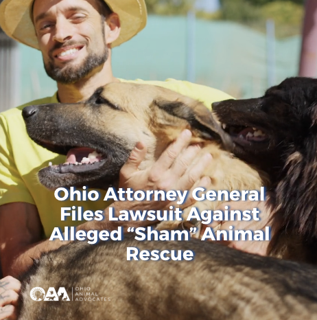 Ohio Attorney General Files Lawsuit Against Alleged “Sham” Animal Rescue