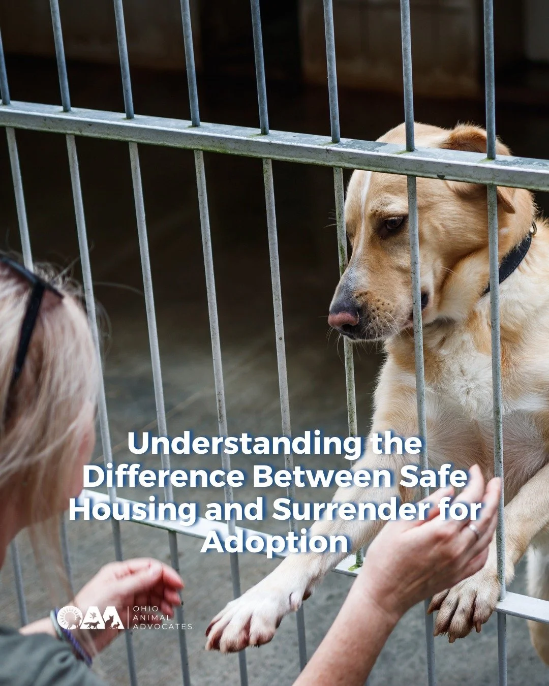 When you&rsquo;re in crisis, asking for help shouldn&rsquo;t mean losing your pet.

There&rsquo;s a critical legal difference between temporary safe housing and surrender for adoption &mdash; and understanding it before signing paperwork can protect 
