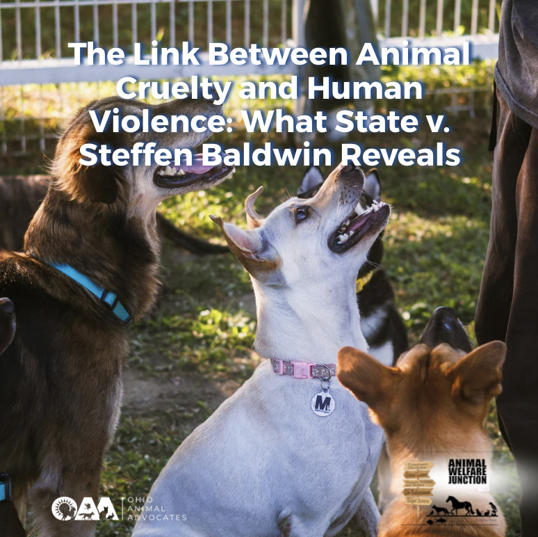 Screenshot 2026-03-25 at 9.27.05 AM.png