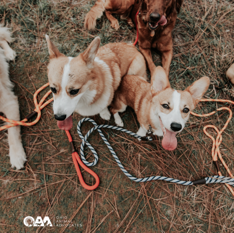 Screenshot 2026-03-25 at 9.27.19 AM.png