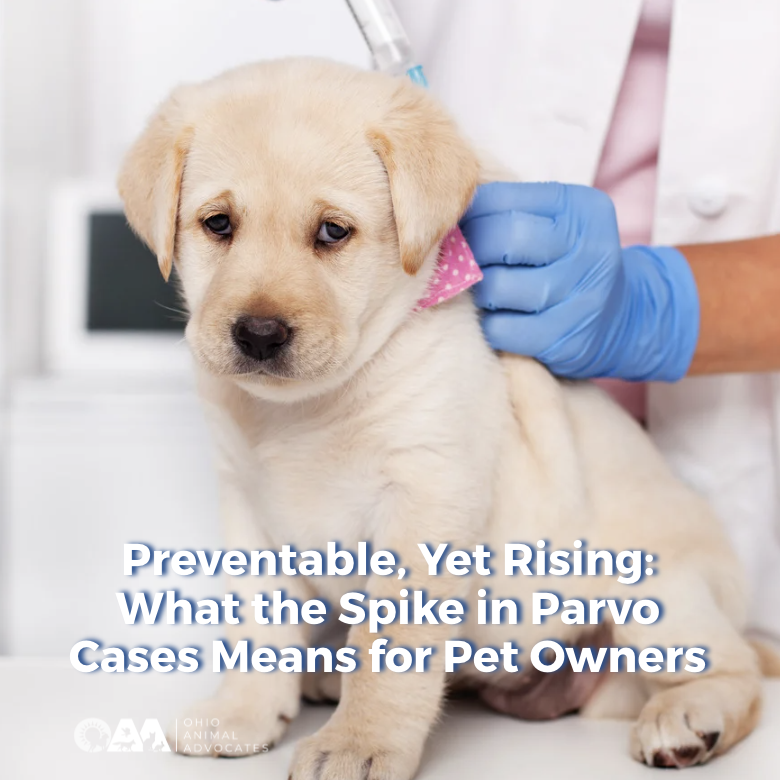 Screenshot 2026-03-25 at 10.00.44 AM.png